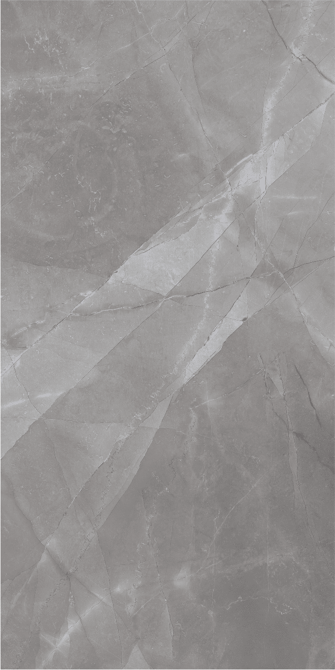 ARMANZO GRIS