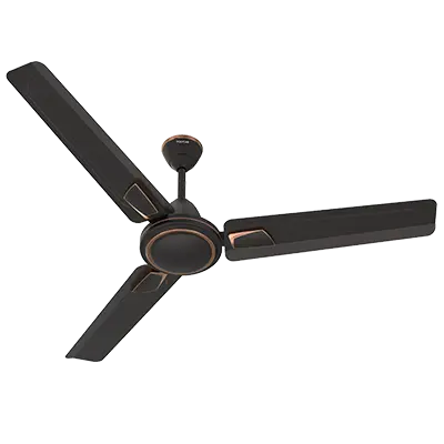 ZOOMER DLX